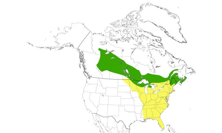 Range Map (North): Cape May Warbler