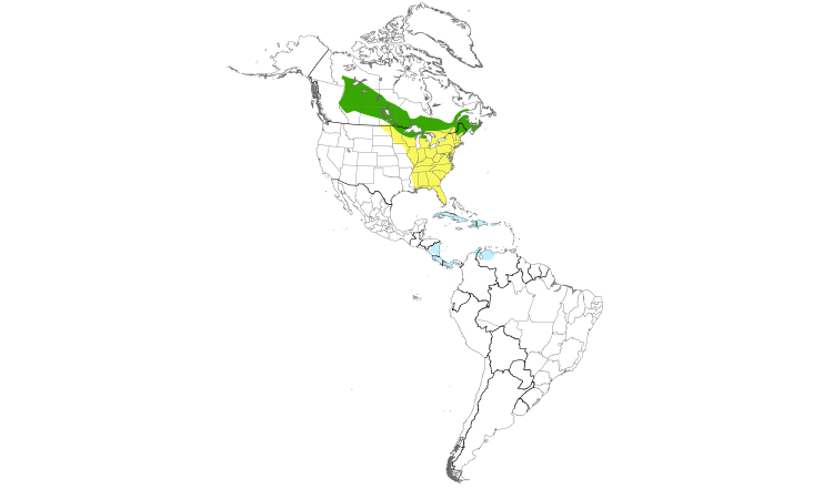 Range Map (Americas): Cape May Warbler