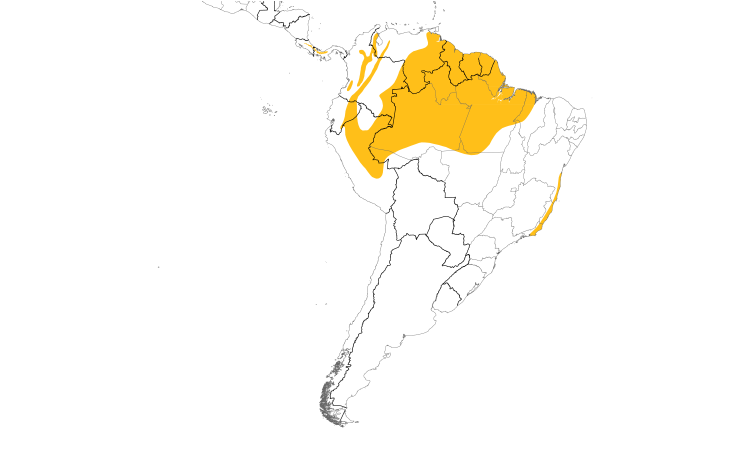 Range Map (South): White-crowned Manakin