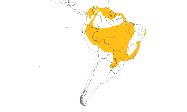 Range Map (South): Black-capped Donacobius