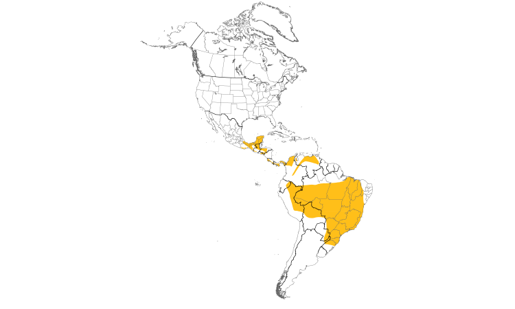 Range Map (Americas): Pheasant Cuckoo