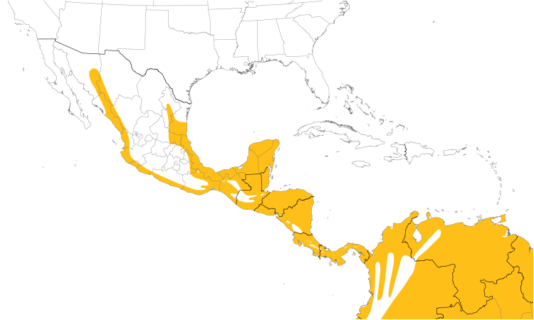 Range Map (Central): Lineated Woodpecker