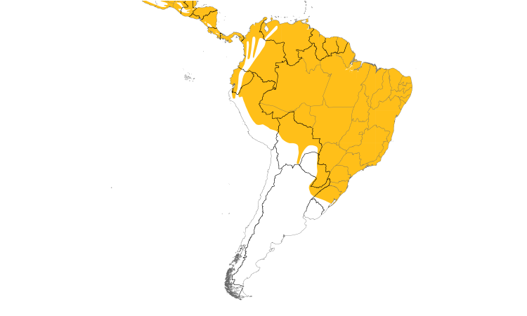 Range Map (South): Lineated Woodpecker
