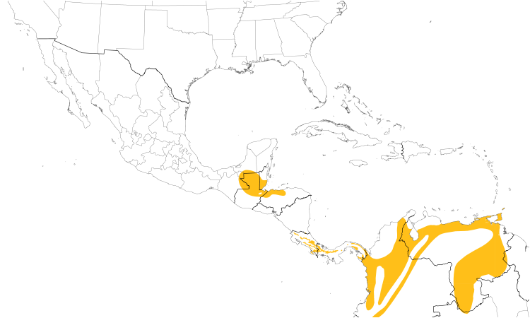 Range Map (Central): Plain Antvireo