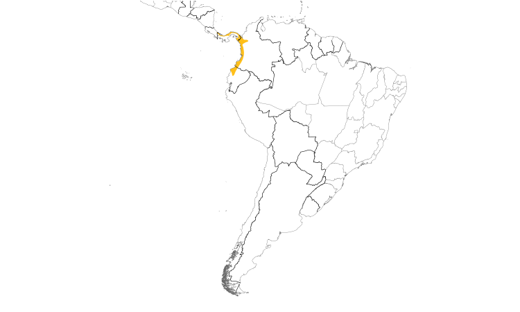 Range Map (South): Spot-crowned Antvireo