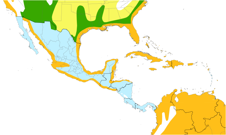 Range Map (Central): Snowy Egret