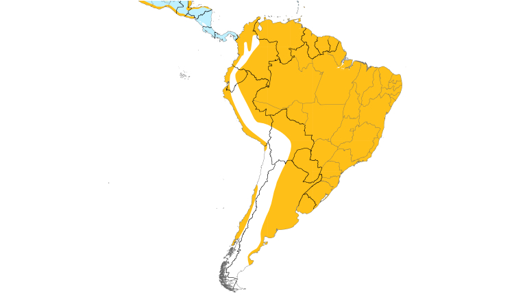 Range Map (South): Snowy Egret