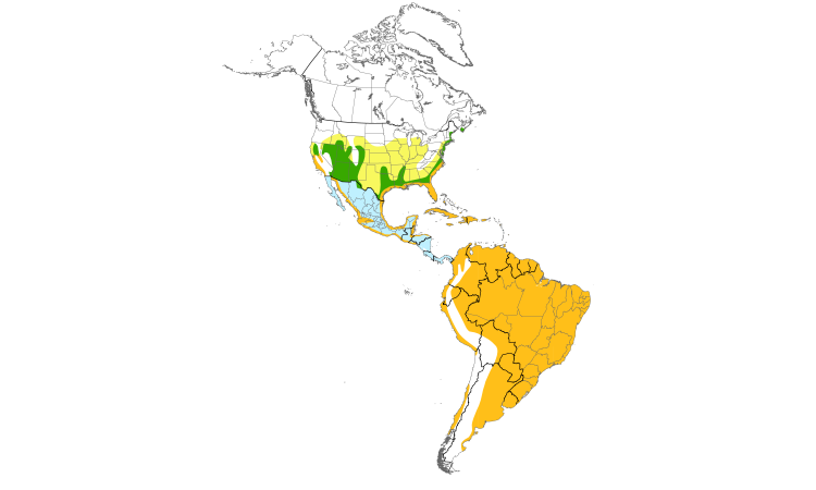 Range Map (Americas): Snowy Egret