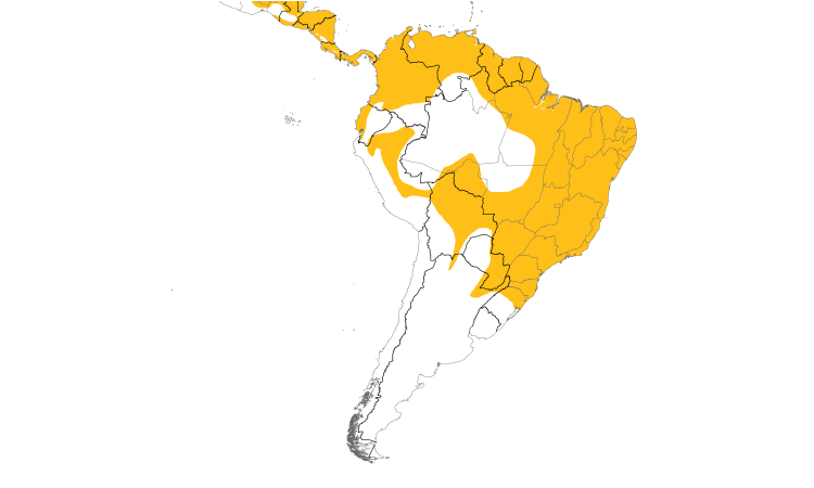 Range Map (South): Yellow-bellied Elaenia