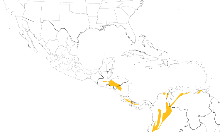 Range Map (Central): Mountain Elaenia