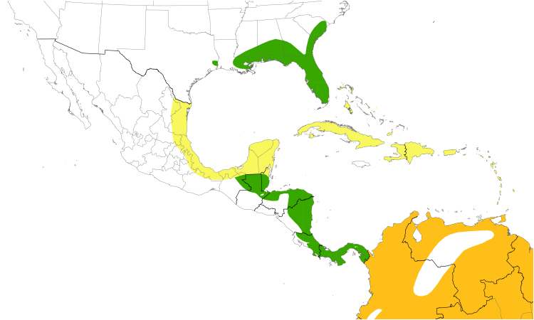 Range Map (Central): Swallow-tailed Kite