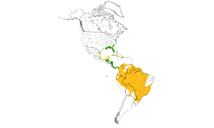 Range Map (Americas): Swallow-tailed Kite
