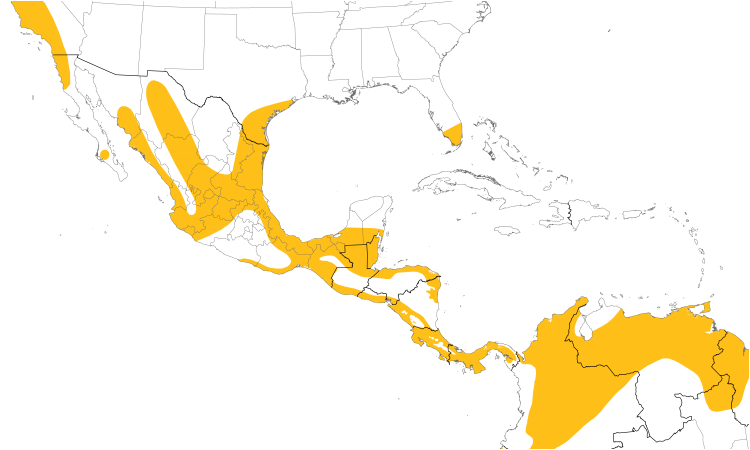 Range Map (Central): White-tailed Kite