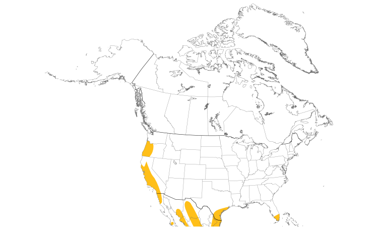Range Map (North): White-tailed Kite