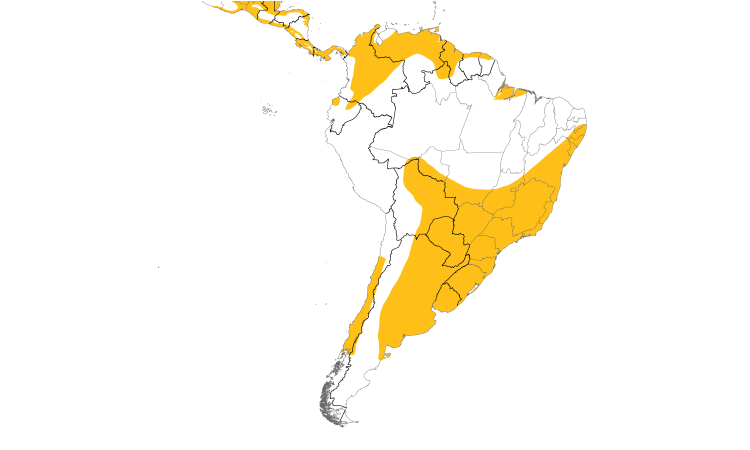 Range Map (South): White-tailed Kite