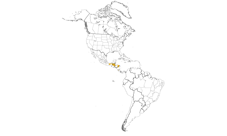 Range Map (Americas): Keel-billed Motmot