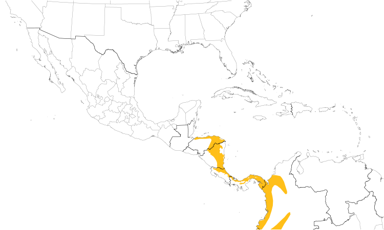 Range Map (Central): Broad-billed Motmot