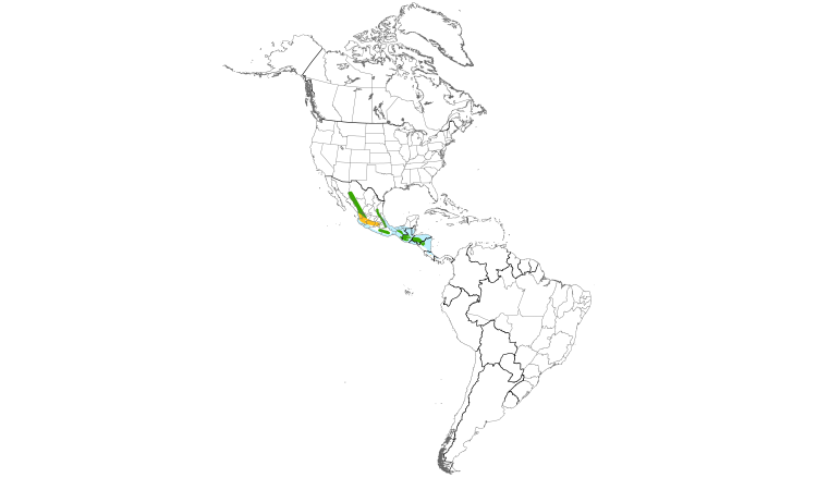 Range Map (Americas): White-throated Flycatcher