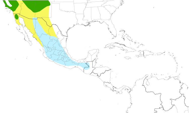 Range Map (Central): Dusky Flycatcher