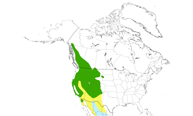 Range Map (North): Dusky Flycatcher