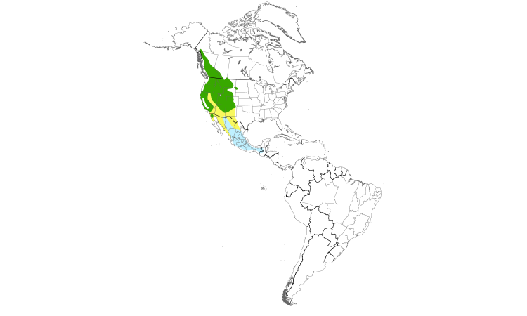 Range Map (Americas): Dusky Flycatcher