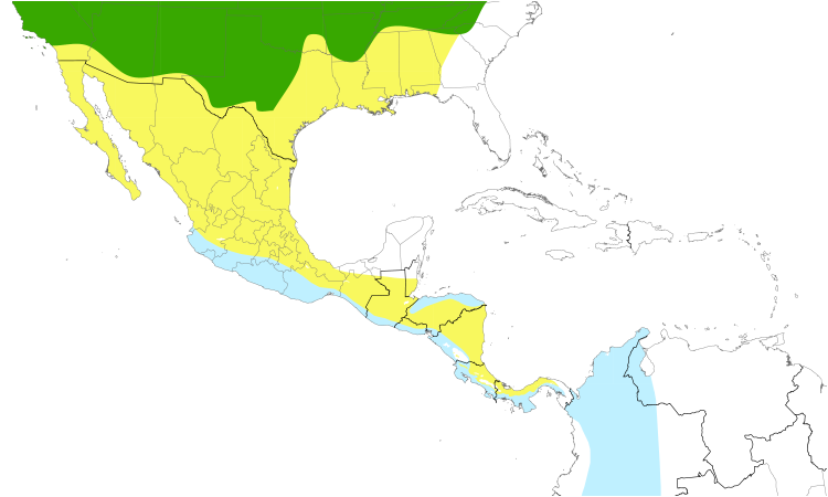 Range Map (Central): Willow Flycatcher