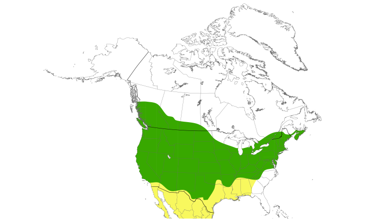 Range Map (North): Willow Flycatcher