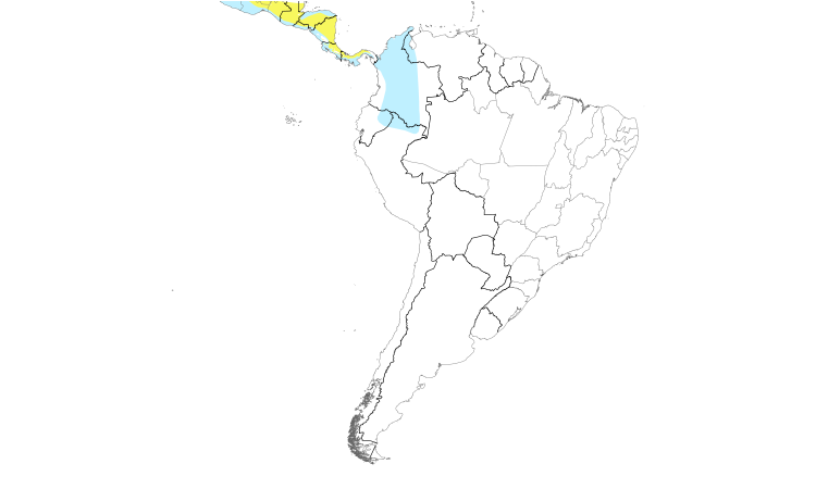 Range Map (South): Willow Flycatcher