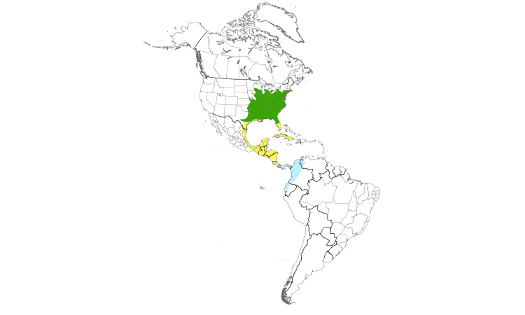 Range Map (Americas): Acadian Flycatcher