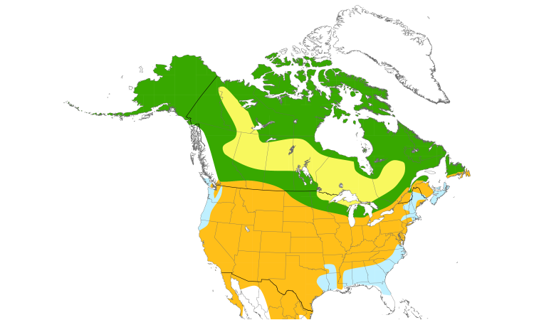 Range Map (North): Horned Lark