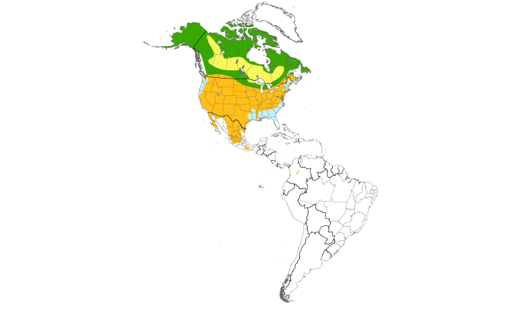 Range Map (Americas): Horned Lark