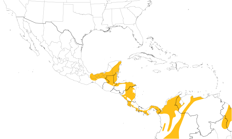Range Map (Central): Gray-headed Tanager