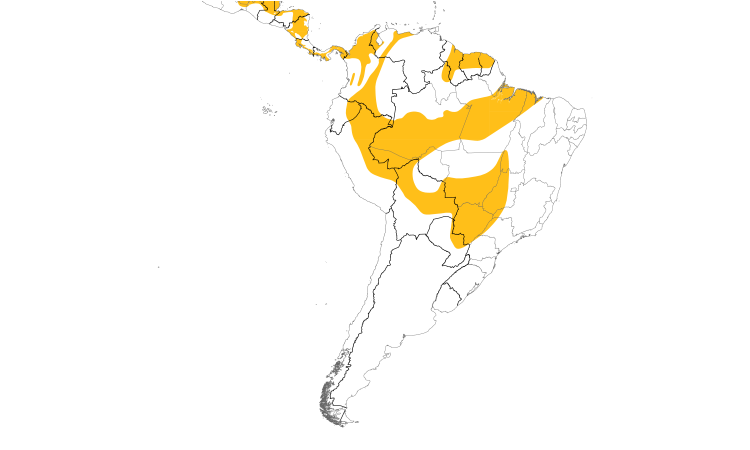 Range Map (South): Gray-headed Tanager