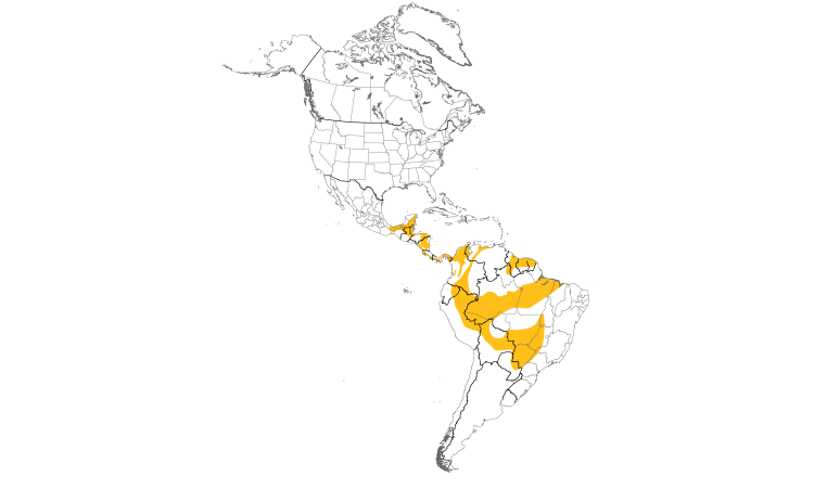 Range Map (Americas): Gray-headed Tanager