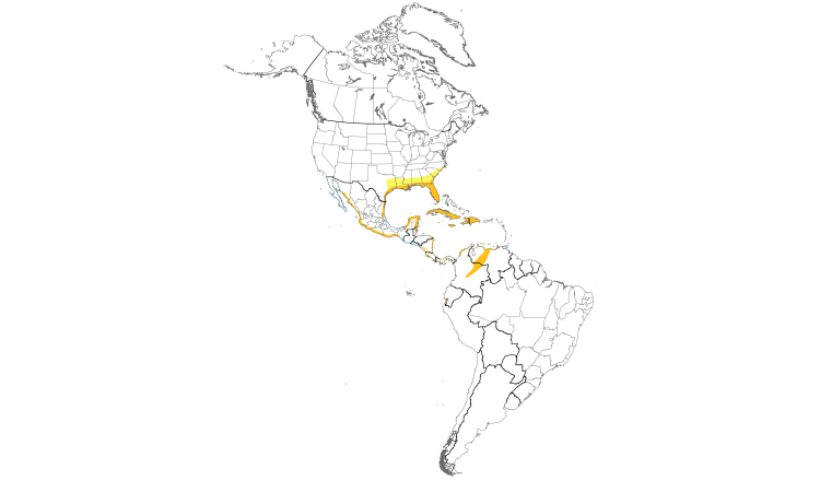 Range Map (Americas): White Ibis