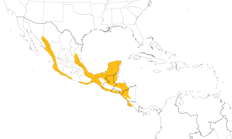 Range Map (Central): Scrub Euphonia