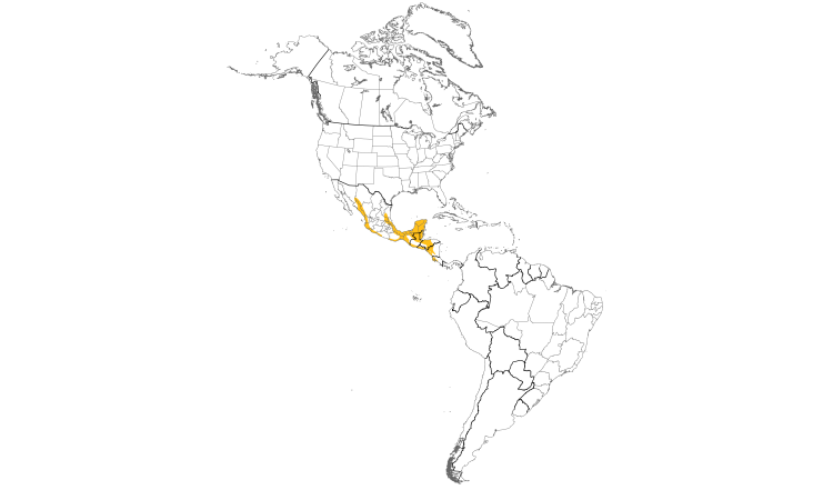 Range Map (Americas): Scrub Euphonia