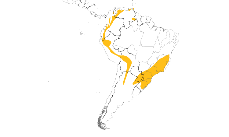 Range Map (South): Antillean Euphonia