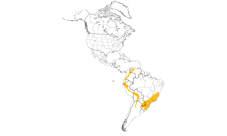 Range Map (Americas): Antillean Euphonia