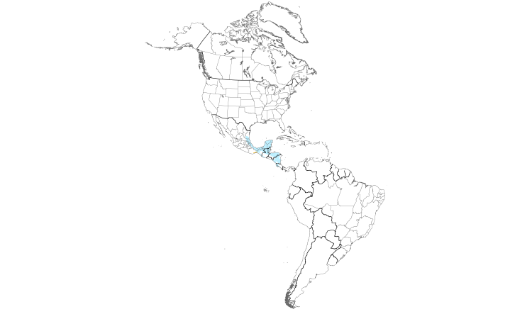 Range Map (Americas): Yellow-throated Euphonia