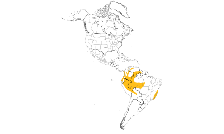 Range Map (Americas): Orange-bellied Euphonia