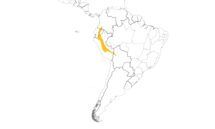 Range Map (South): Buff-tailed Sicklebill