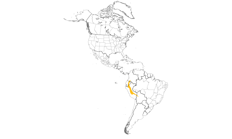 Range Map (Americas): Buff-tailed Sicklebill