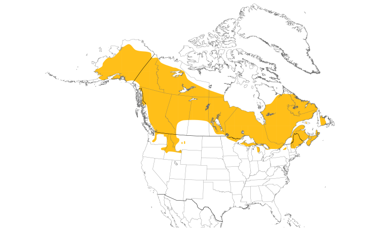 Range Map (North): Spruce Grouse