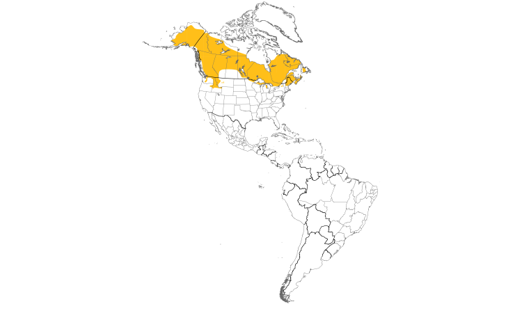 Range Map (Americas): Spruce Grouse