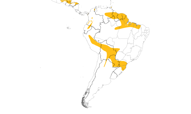 Range Map (South): Orange-breasted Falcon