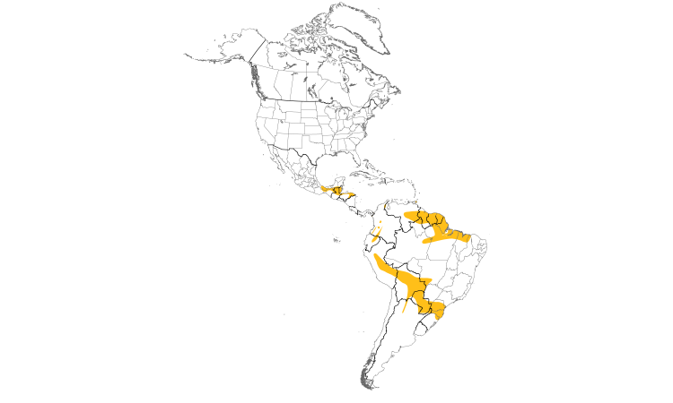 Range Map (Americas): Orange-breasted Falcon