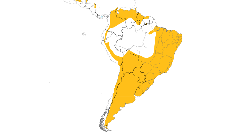 Range Map (South): Aplomado Falcon