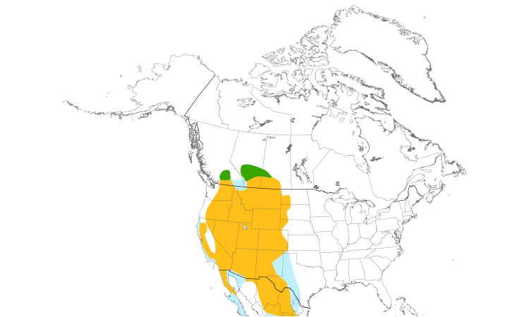 Range Map (North): Prairie Falcon