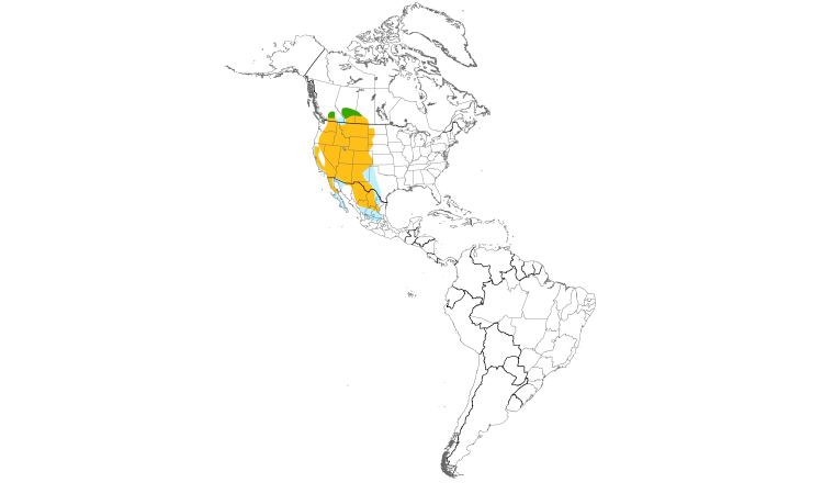 Range Map (Americas): Prairie Falcon